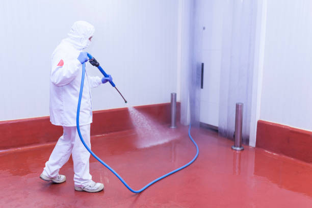 Best Soft Washing  in Gouldtown, NJ